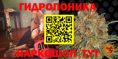 дмт Изобильный