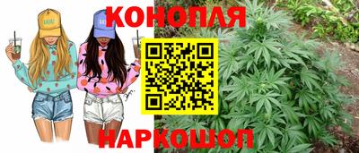 мяу мяу мука Ирбит