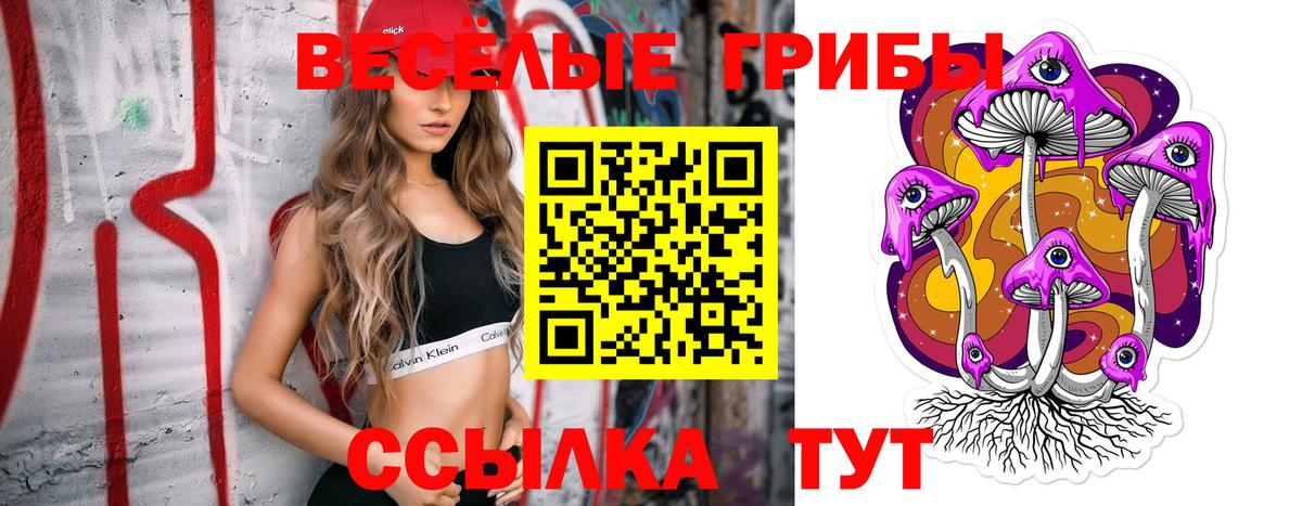 Галлюциногенные грибы Psilocybe Петровск